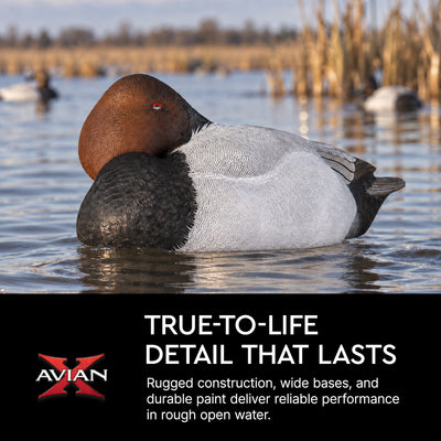 Avian X Topflight Canvasbacks Decoys Realistic Gray Duck, Set of 6, Multicolor