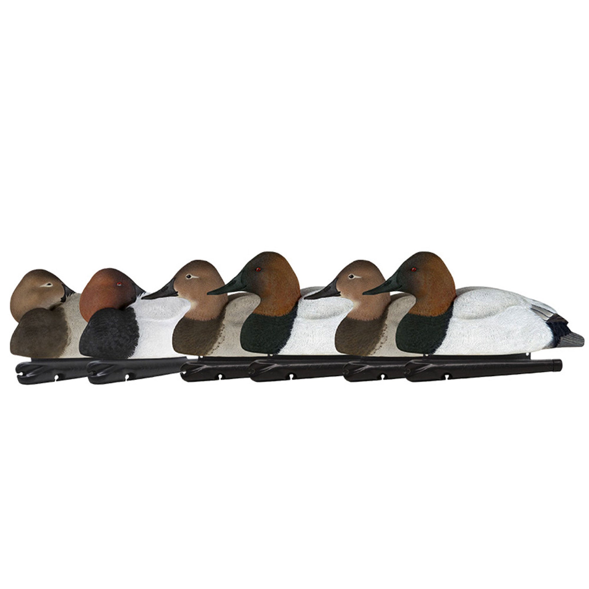 Avian X Canvasbacks Decoys Realistic Gray Duck, Set of 6, Multicolor (Open Box) - VMInnovations