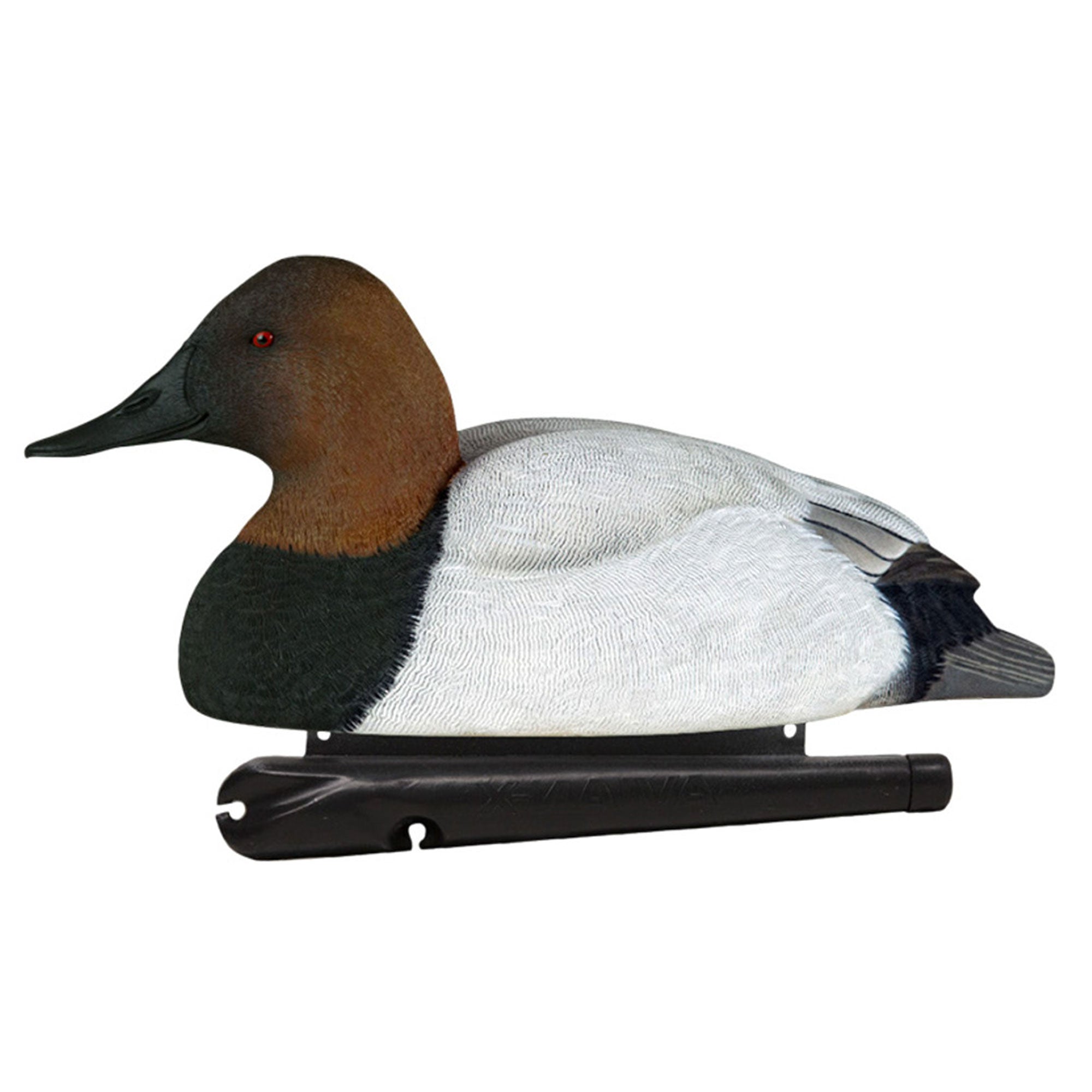 Avian X Canvasbacks Decoys Realistic Gray Duck, Set of 6, Multicolor (Open Box) - VMInnovations