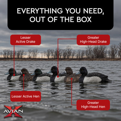 Avian X Topflight Blue Bills Duck Decoys with Weight Forward Swim Keel, Set of 6