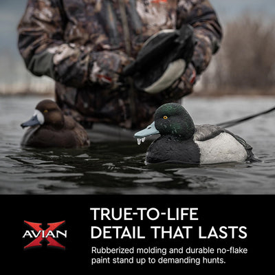 Avian X Topflight Blue Bills Duck Decoys with Weight Forward Swim Keel, Set of 6