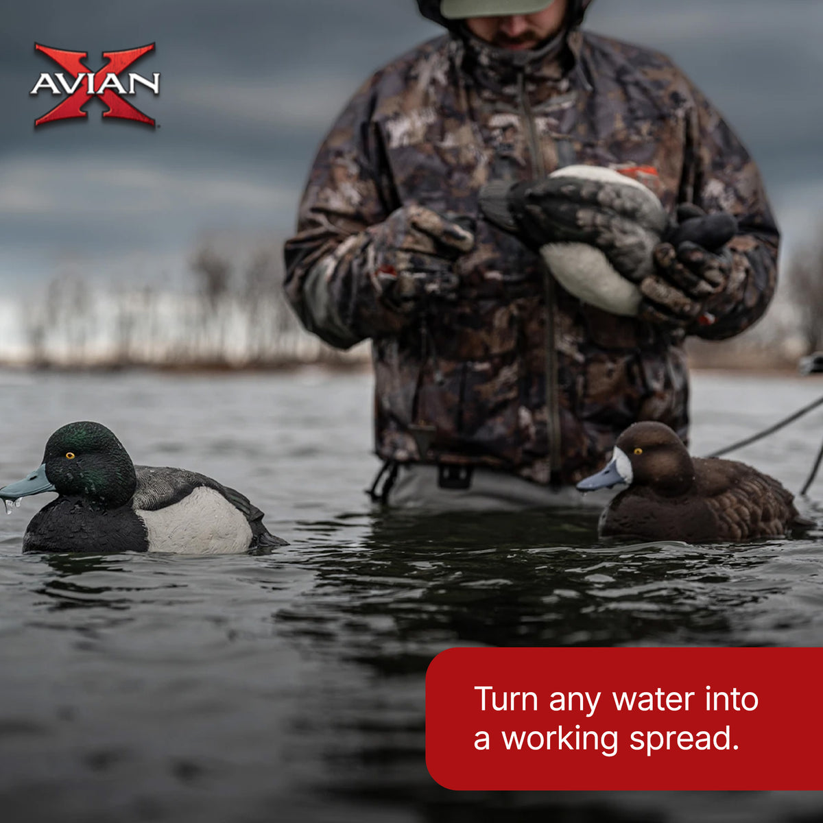 Avian X Topflight Blue Bills Duck Decoys with Weight Forward Swim Keel, Set of 6
