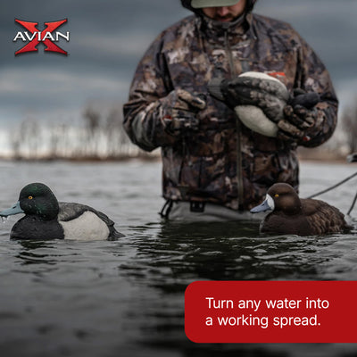 Avian X Topflight Blue Bills Duck Decoys with Weight Forward Swim Keel, Set of 6