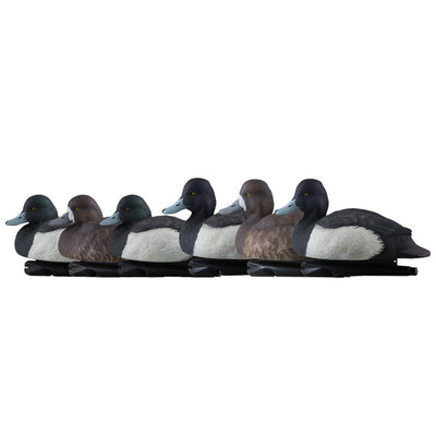 Avian X Topflight Blue Bills Duck Decoys with Weight Forward Swim Keel, Set of 6