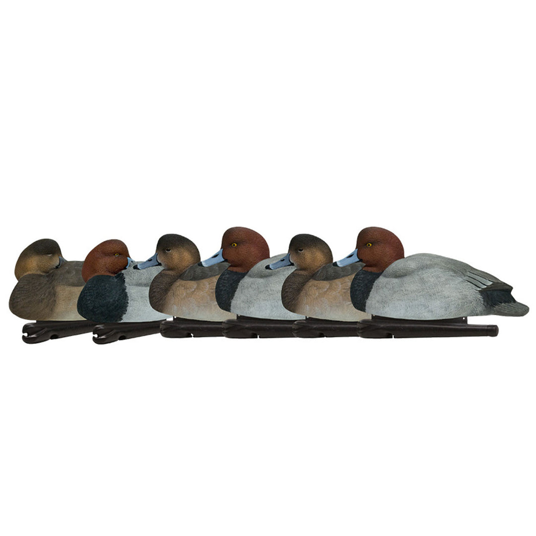 Avian X Redheads Realistic Decoys w/Weight Forward Swim Keel, Set of 6(Open Box)