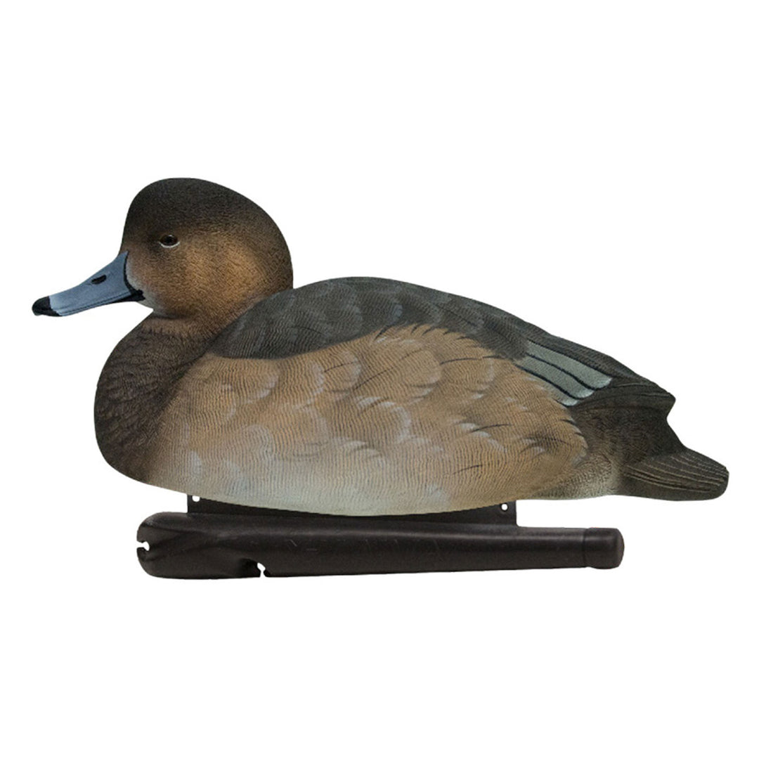 Avian X Redheads Realistic Decoys w/Weight Forward Swim Keel, Set of 6(Open Box)