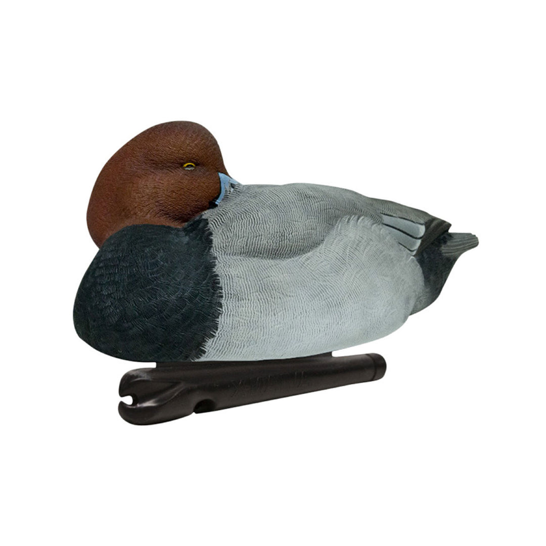 Avian X Redheads Realistic Decoys w/Weight Forward Swim Keel, Set of 6(Open Box)