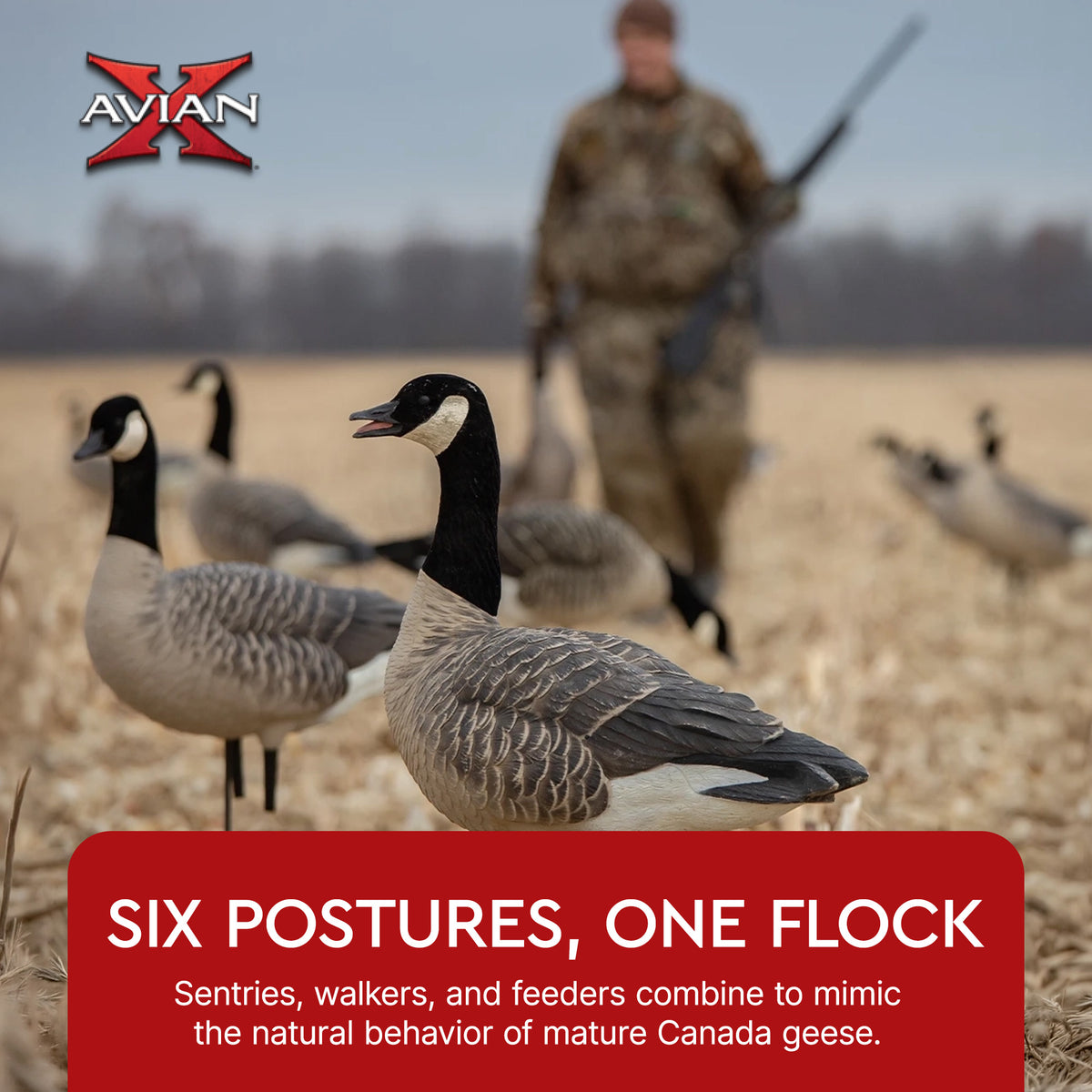 Avian X AXP Honkers Full Body Realistic Paint Canada Goose Decoys Fusion Pack