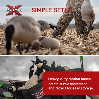Avian X AXP Honkers Full Body Realistic Paint Canada Goose Decoys Fusion Pack