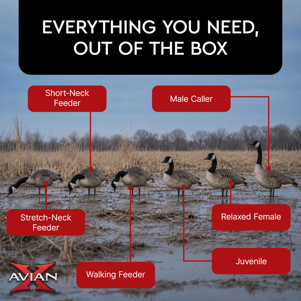 Avian X AXP Honkers Full Body Realistic Paint Canada Goose Decoys Fusion Pack