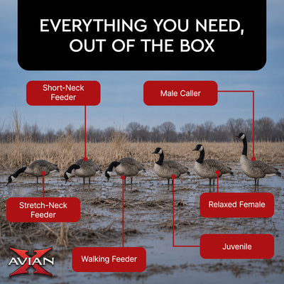 Avian X AXP Honkers Full Body Realistic Paint Canada Goose Decoys Fusion Pack