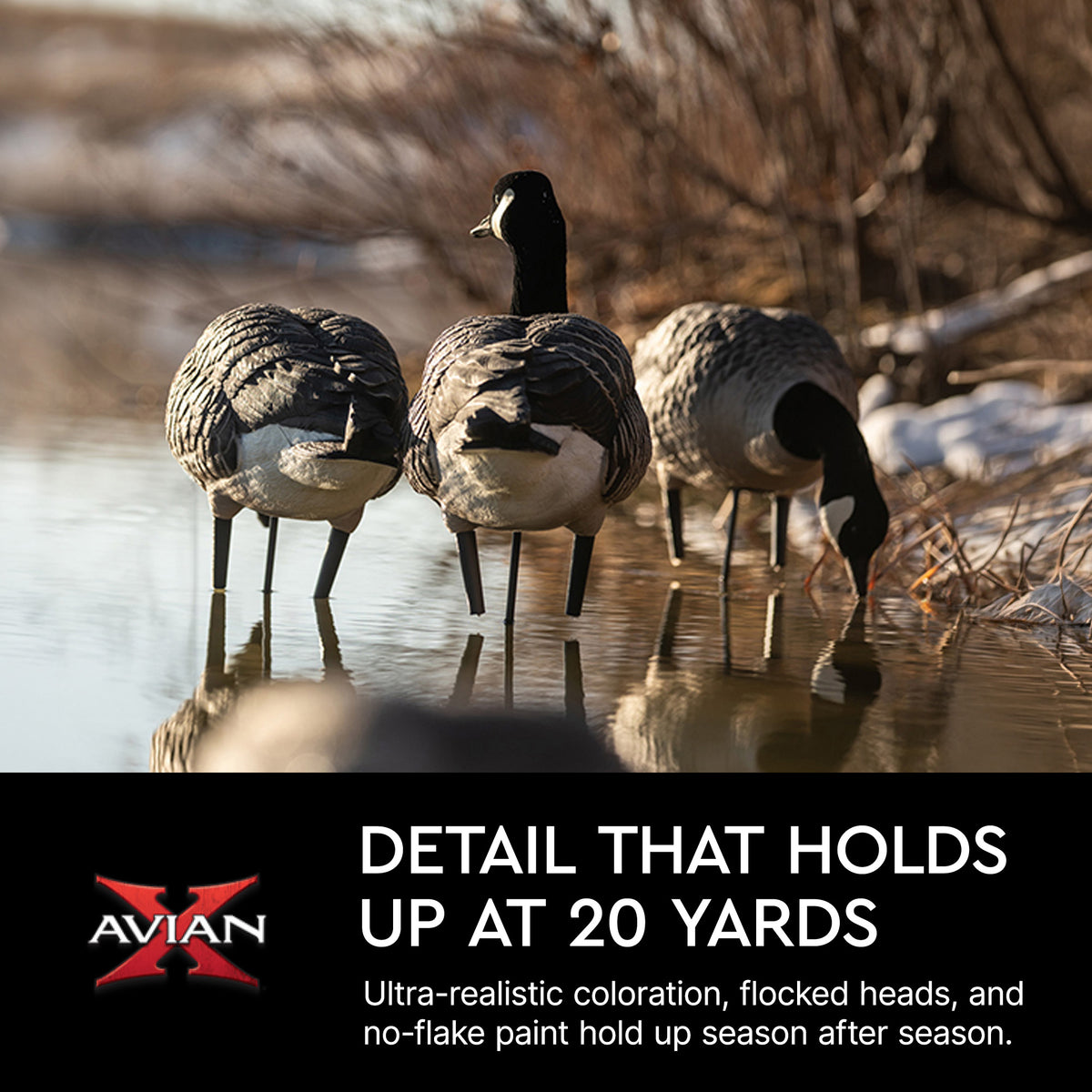 Avian X AXP Honkers Full Body Realistic Paint Canada Goose Decoys Fusion Pack