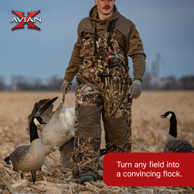 Avian X AXP Honkers Full Body Realistic Paint Canada Goose Decoys Fusion Pack