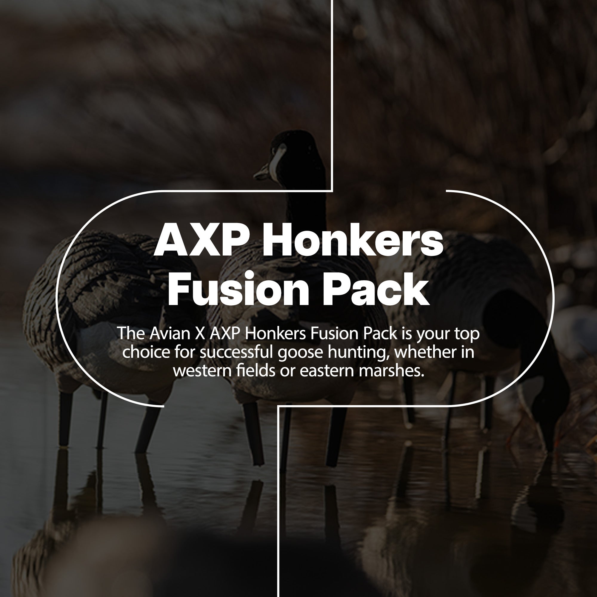 Avian X AXP Honkers Full Body Realistic Paint Canada Goose Decoys Fusion Pack - VMInnovations