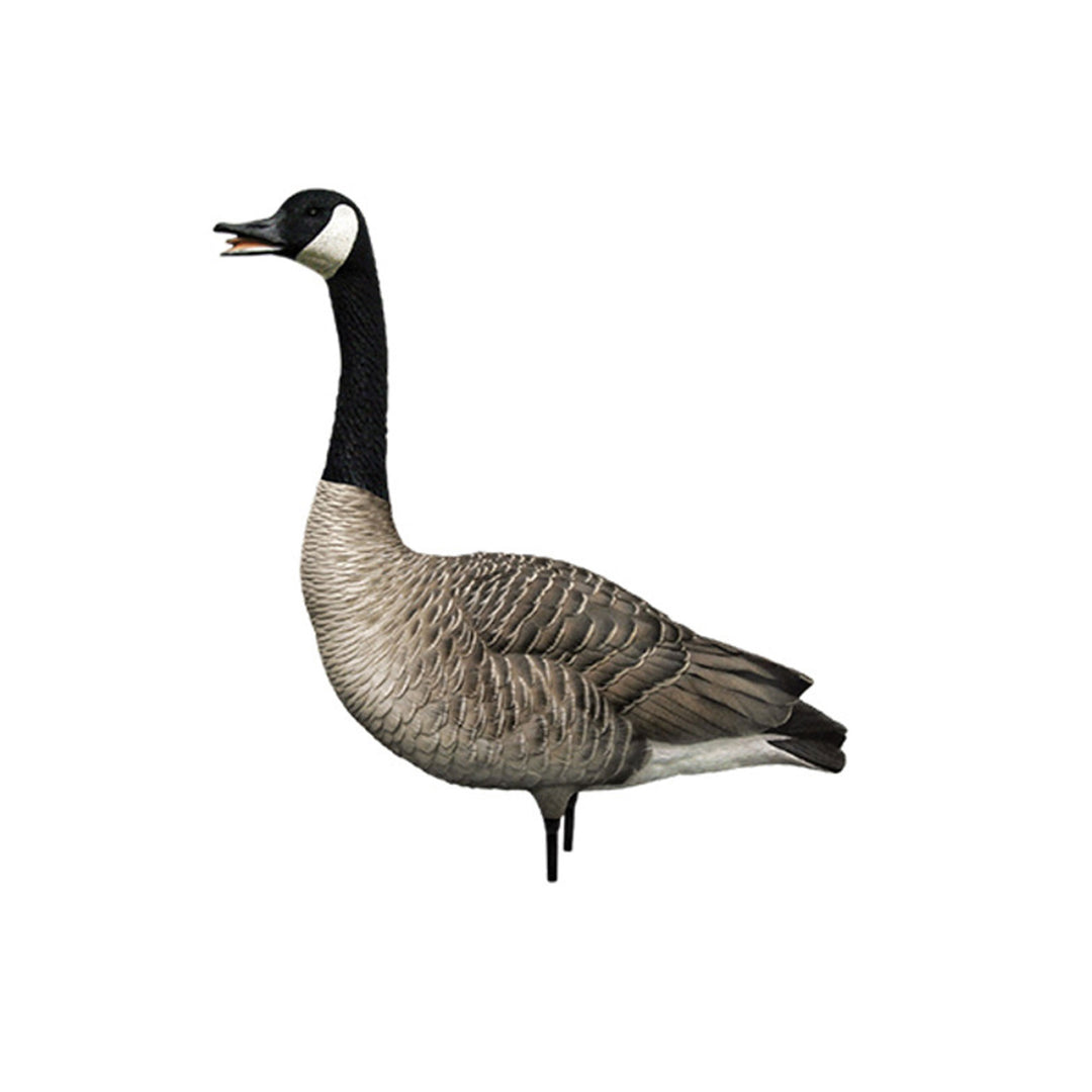 Avian X AXP Honkers Full Body Realistic Paint Canada Goose Decoys Fusion Pack