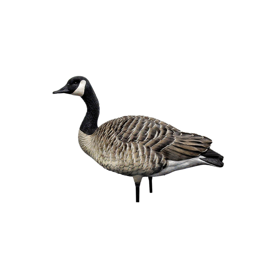 Avian X AXP Honkers Full Body Realistic Paint Canada Goose Decoys Fusion Pack