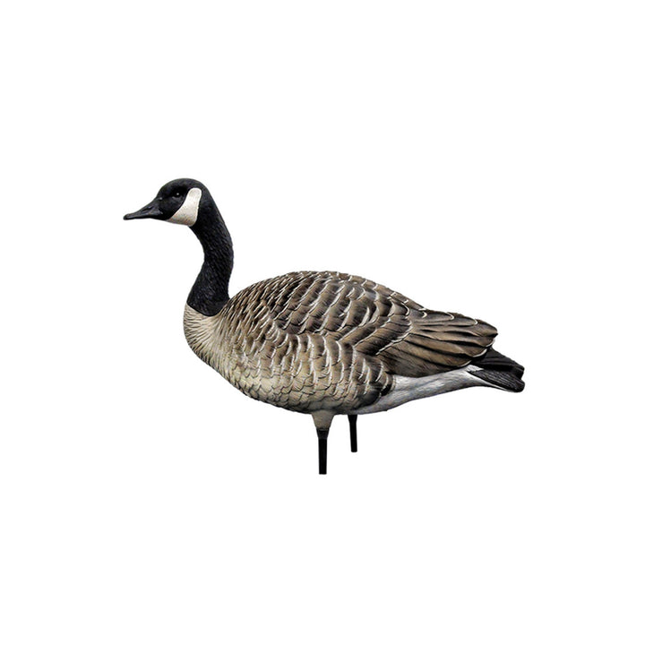 Avian X AXP Honkers Full Body Realistic Paint Canada Goose Decoys (Open Box)