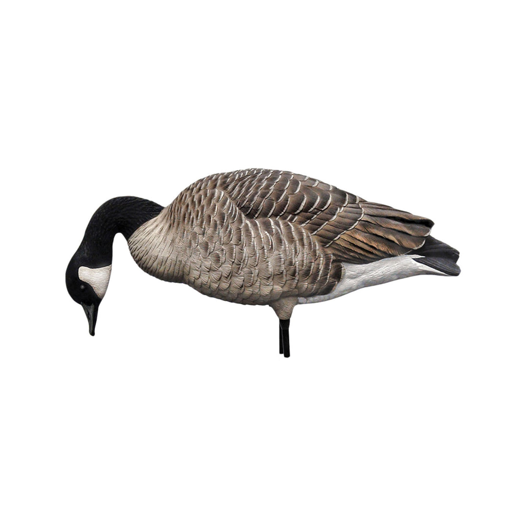 Avian X AXP Honkers Full Body Realistic Paint Canada Goose Decoys Fusion Pack