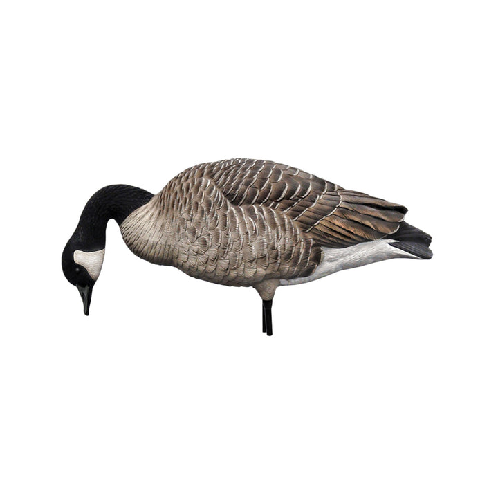 Avian X AXP Honkers Full Body Realistic Paint Canada Goose Decoys (Open Box)