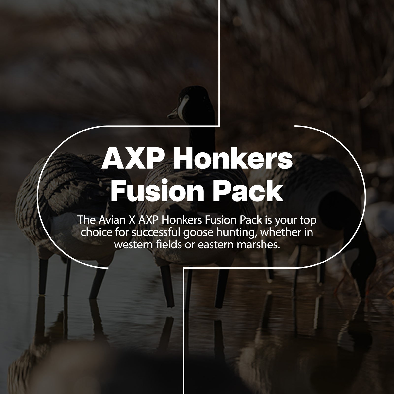 Avian X AXP Honkers Full Body Realistic Paint Canada Goose Decoys Fusion Pack - VMInnovations