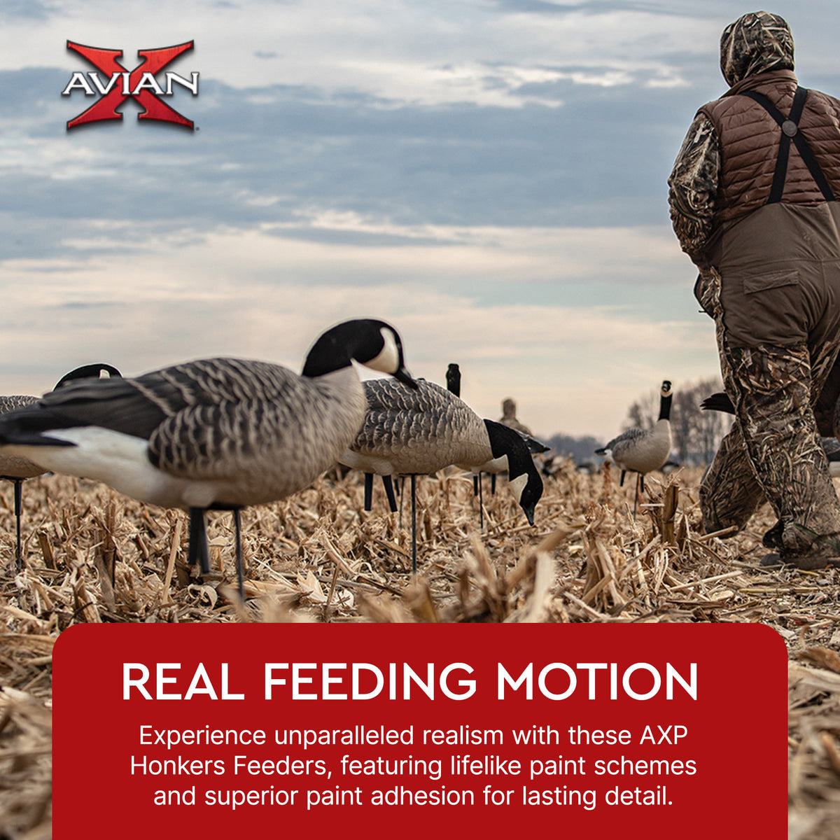Avian X AXP Honkers Full Body Realistic Paint Canada Goose Decoys Feeder Pack