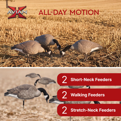 Avian X AXP Honkers Full Body Realistic Paint Canada Goose Decoys Feeder Pack