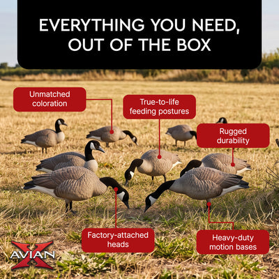 Avian X AXP Honkers Full Body Realistic Paint Canada Goose Decoys Feeder Pack