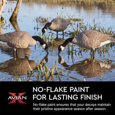 Avian X AXP Honkers Full Body Realistic Paint Canada Goose Decoys Feeder Pack