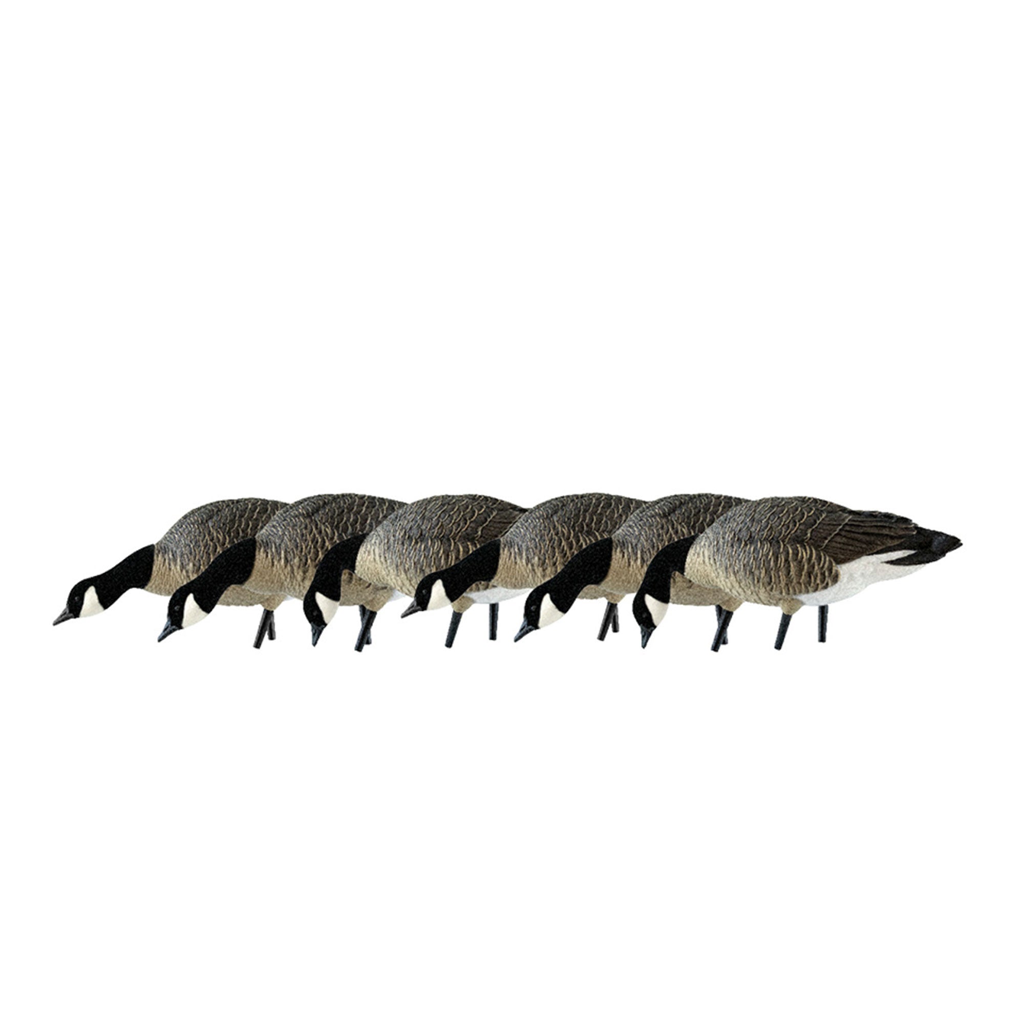 Avian X AXP Honkers Fusion Canada Goose Decoy Realistic Feeder Bodies, Set of 18 - VMInnovations