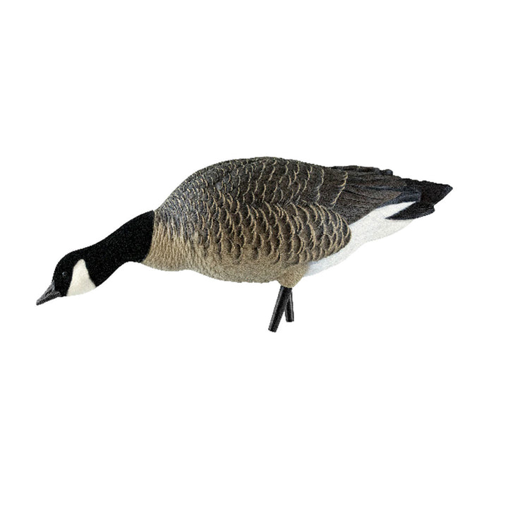 Avian X Honkers Fusion Canada Goose Decoy Realistic Feeder Bodies, 6pc(Open Box)