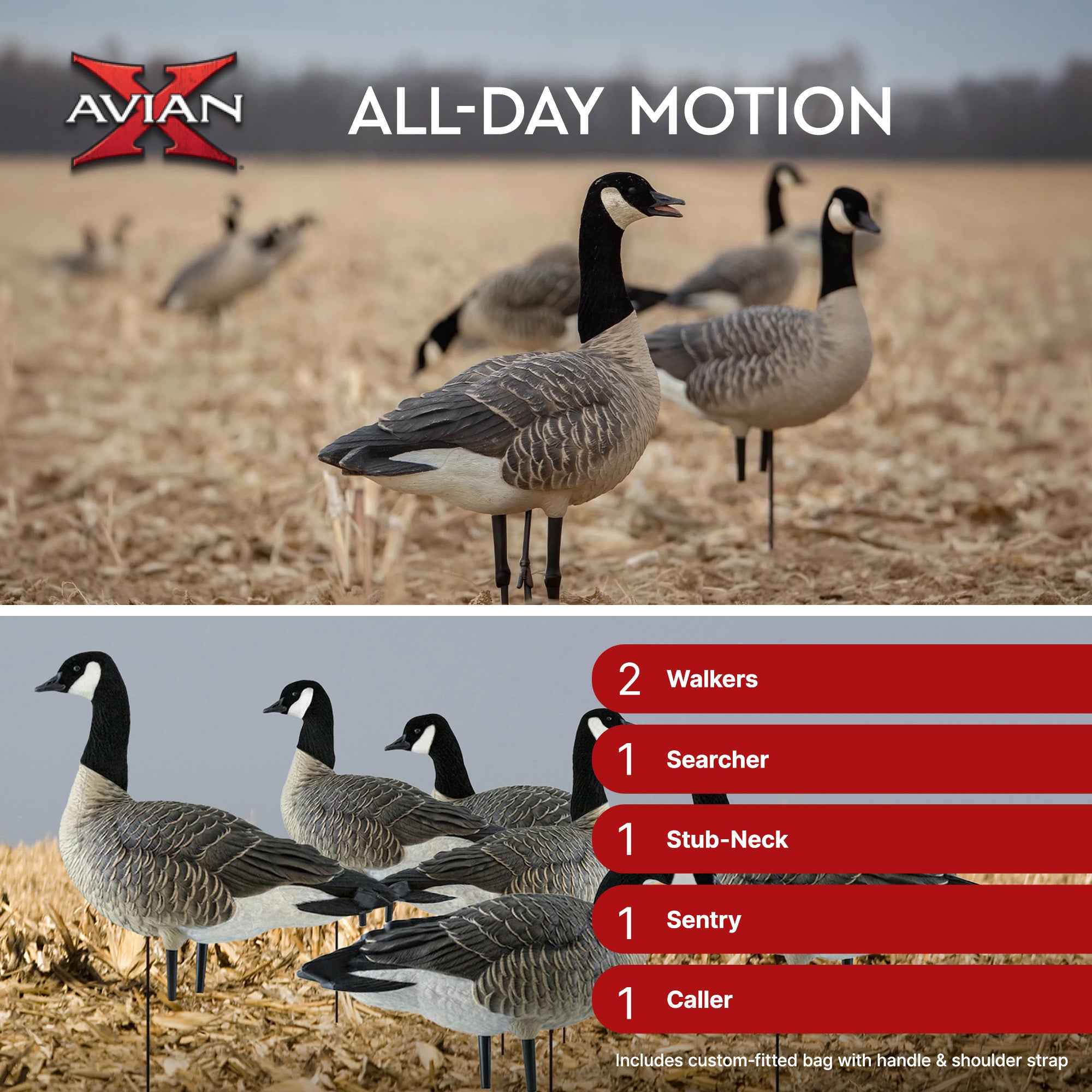 Avian X AXP Honkers Fusion Pack Lesser Canada Goose Decoys & Included Bag, Multi