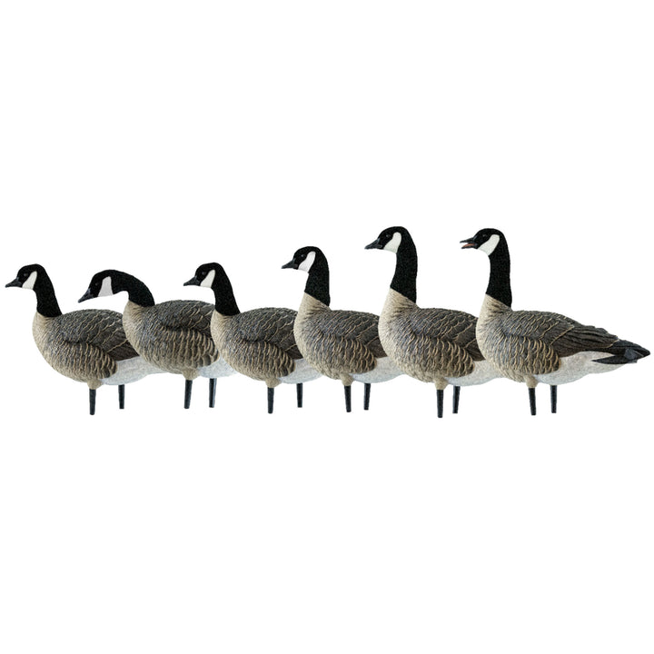 Avian X AXP Honkers Fusion Pack Lesser Canada Goose Decoys & Bag, Multi (Used)