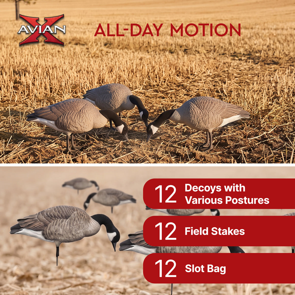 Avian X AXP Lessers Outfitter Pack, 12 Full Body Canada Goose Decoys with Bag
