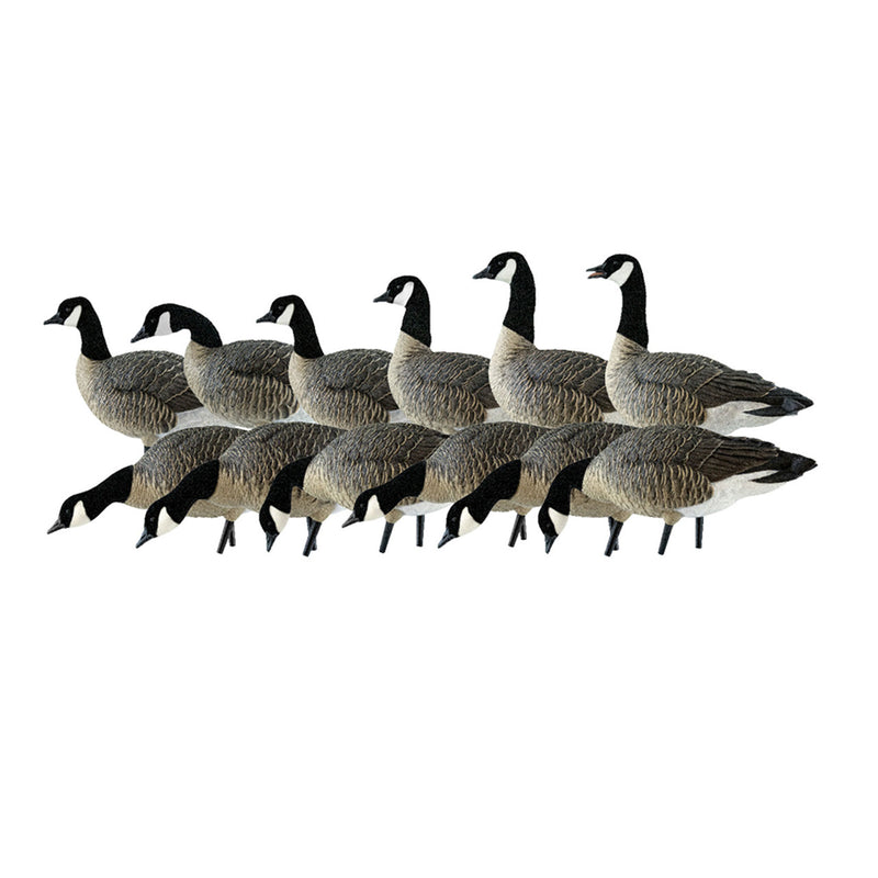 Avian X AXP Outfitter Pack, 12 Full Body Canada Goose Decoys with Bag(Open Box)