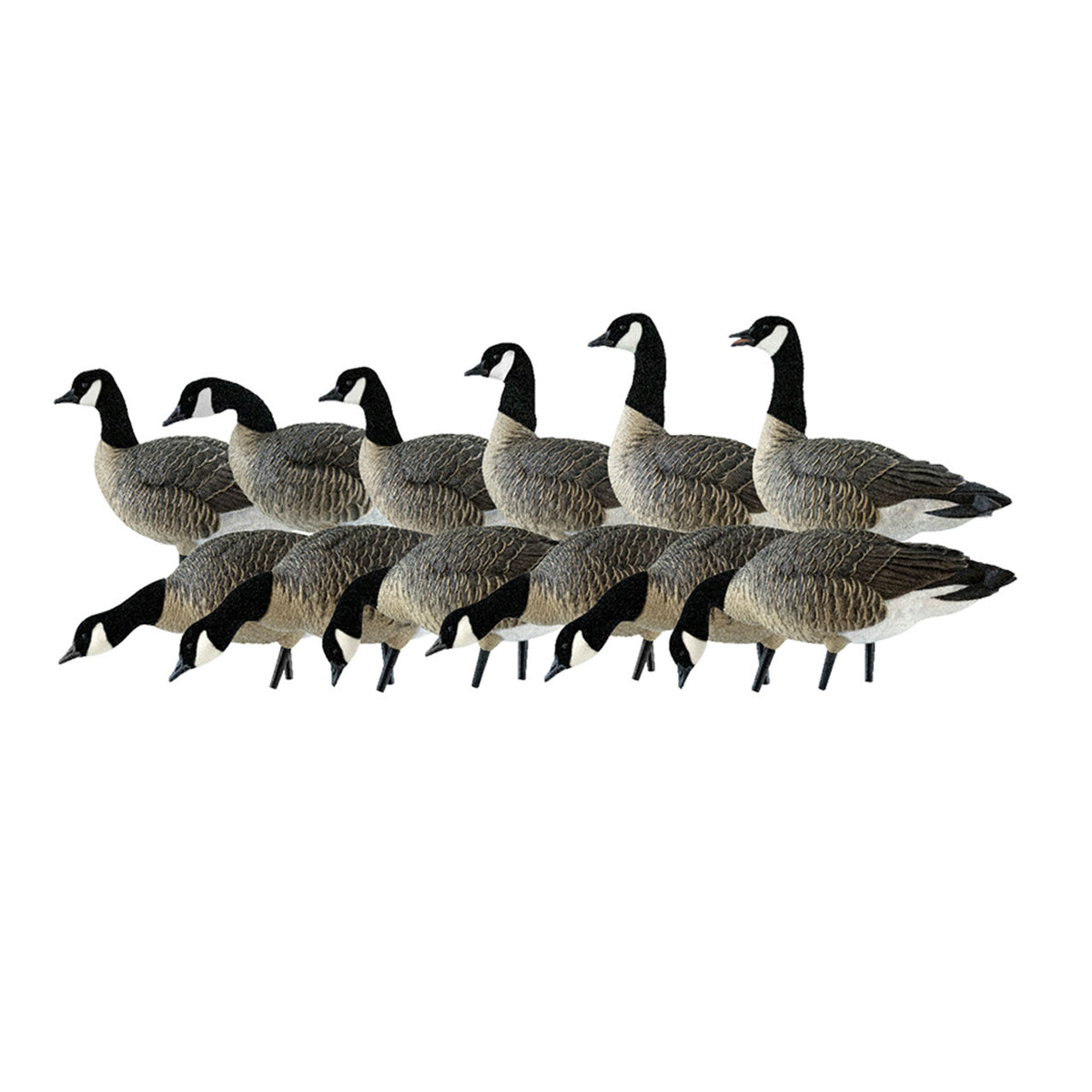 Avian X AXP Lessers Outfitter Pack, 12 Full Body Canada Goose Decoys with Bag