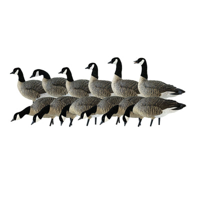 Avian X AXP Lessers Outfitter Pack, 12 Full Body Canada Goose Decoys with Bag