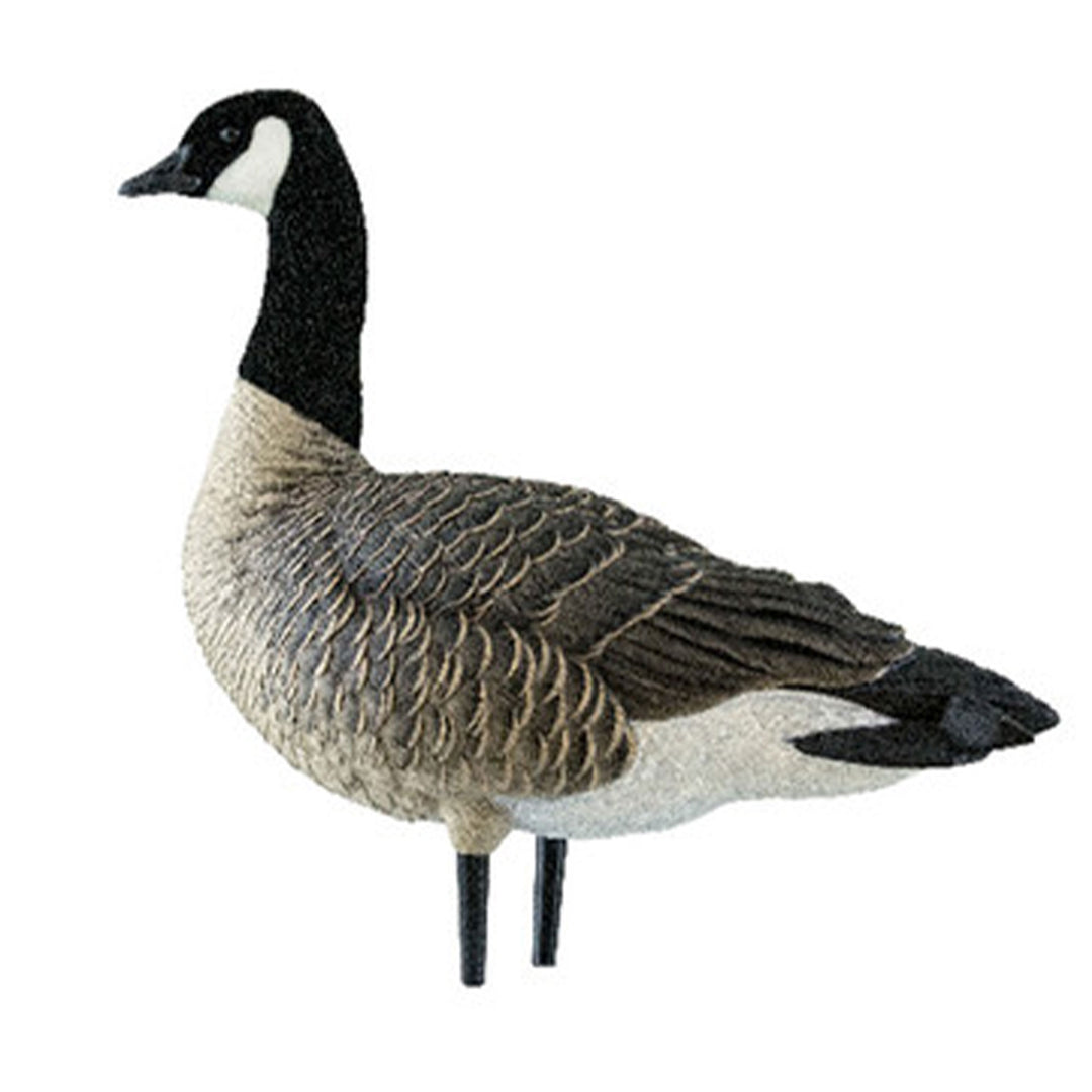 Avian X AXP Outfitter Pack, 12 Full Body Canada Goose Decoys with Bag(Open Box)