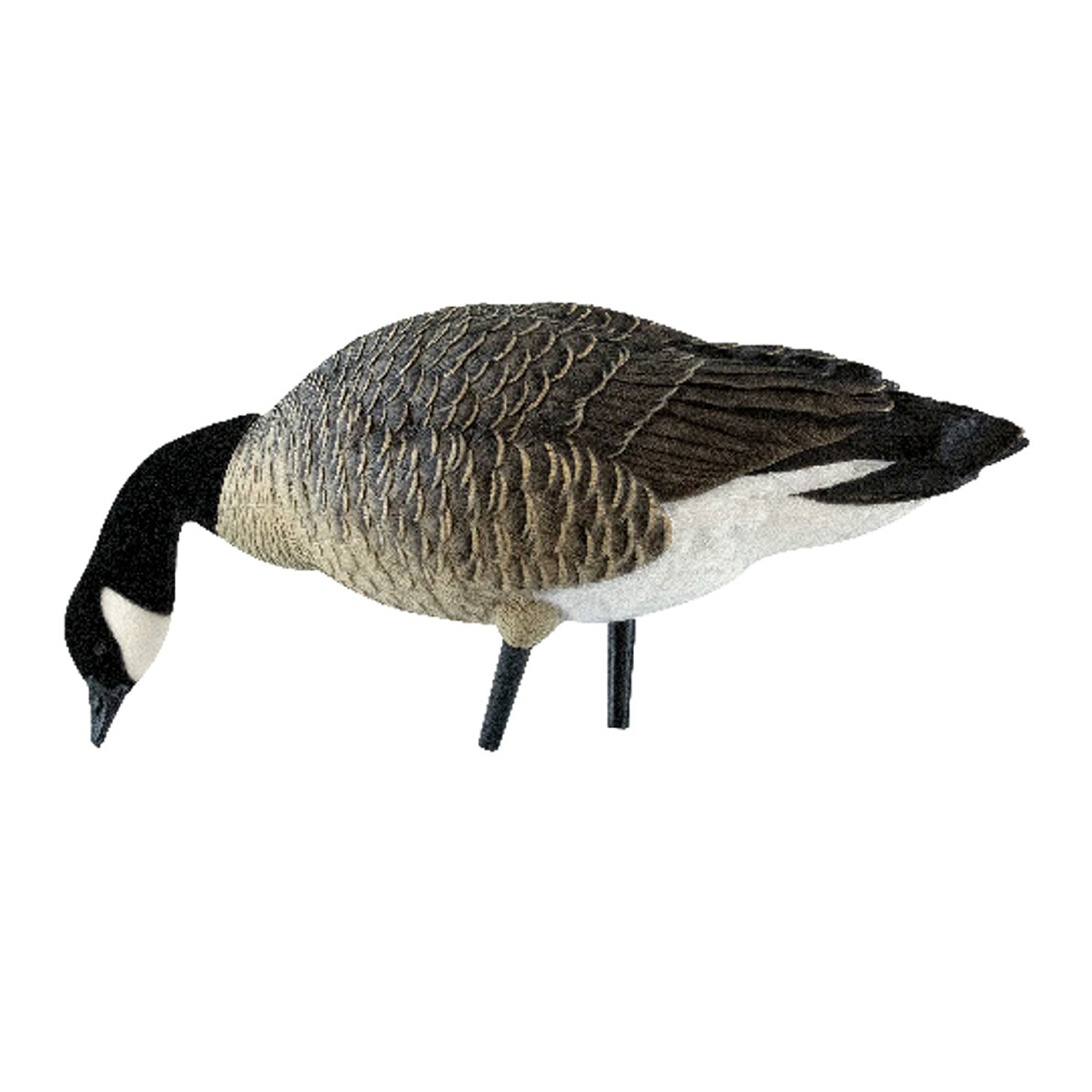 Avian X AXP Lessers Outfitter Pack, 12 Full Body Canada Goose Decoys with Bag