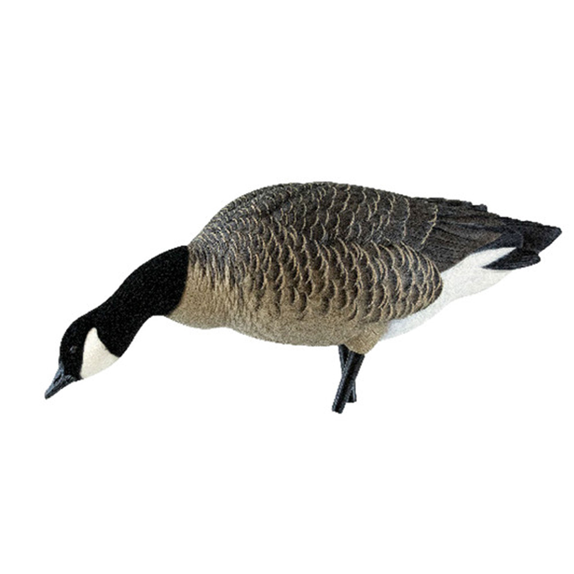 Avian X AXP Lessers Outfitter Pack, 12 Full Body Canada Goose Decoys with Bag