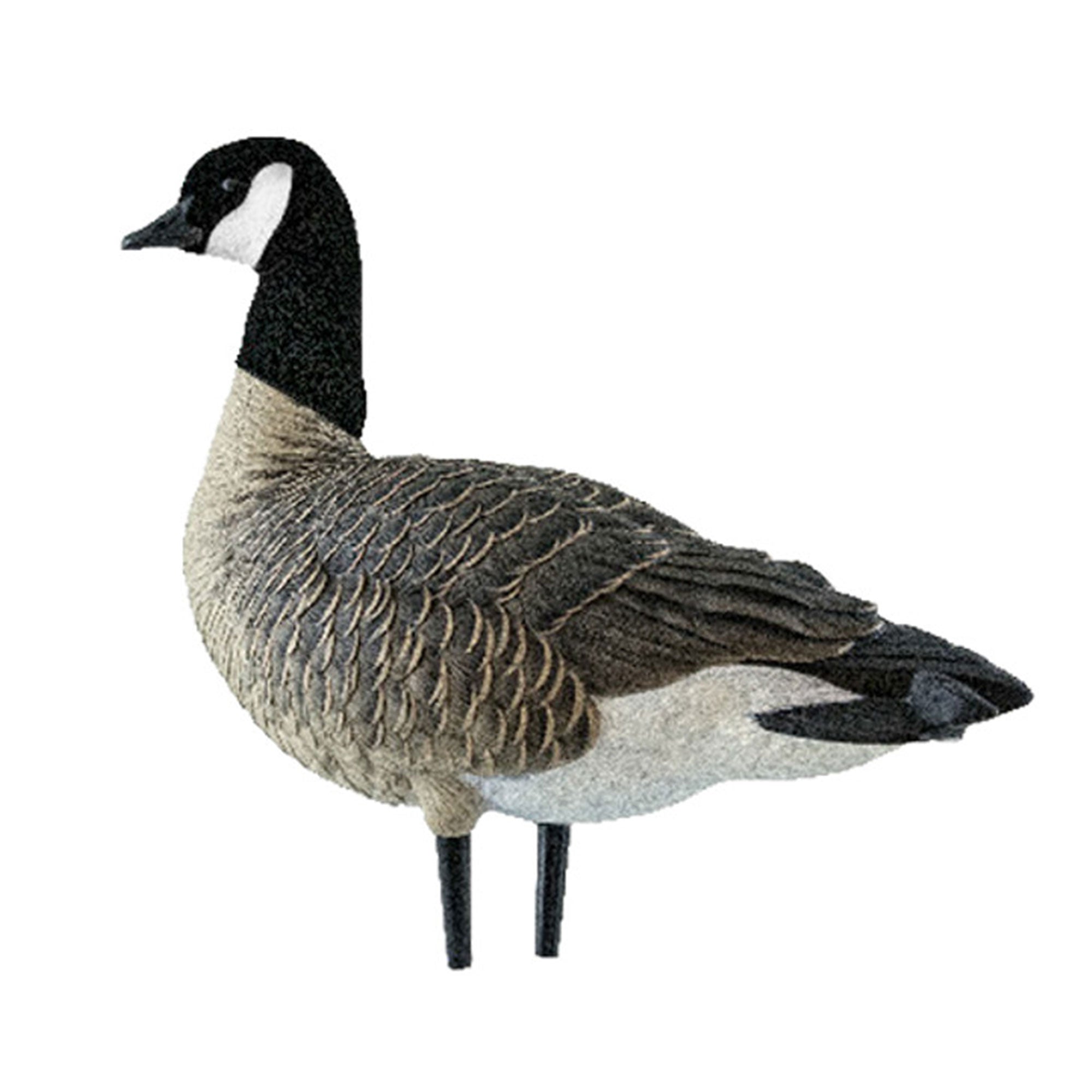 Avian X AXP Lessers Outfitter Pack, 12 Full Body Canada Goose Decoys with Bag