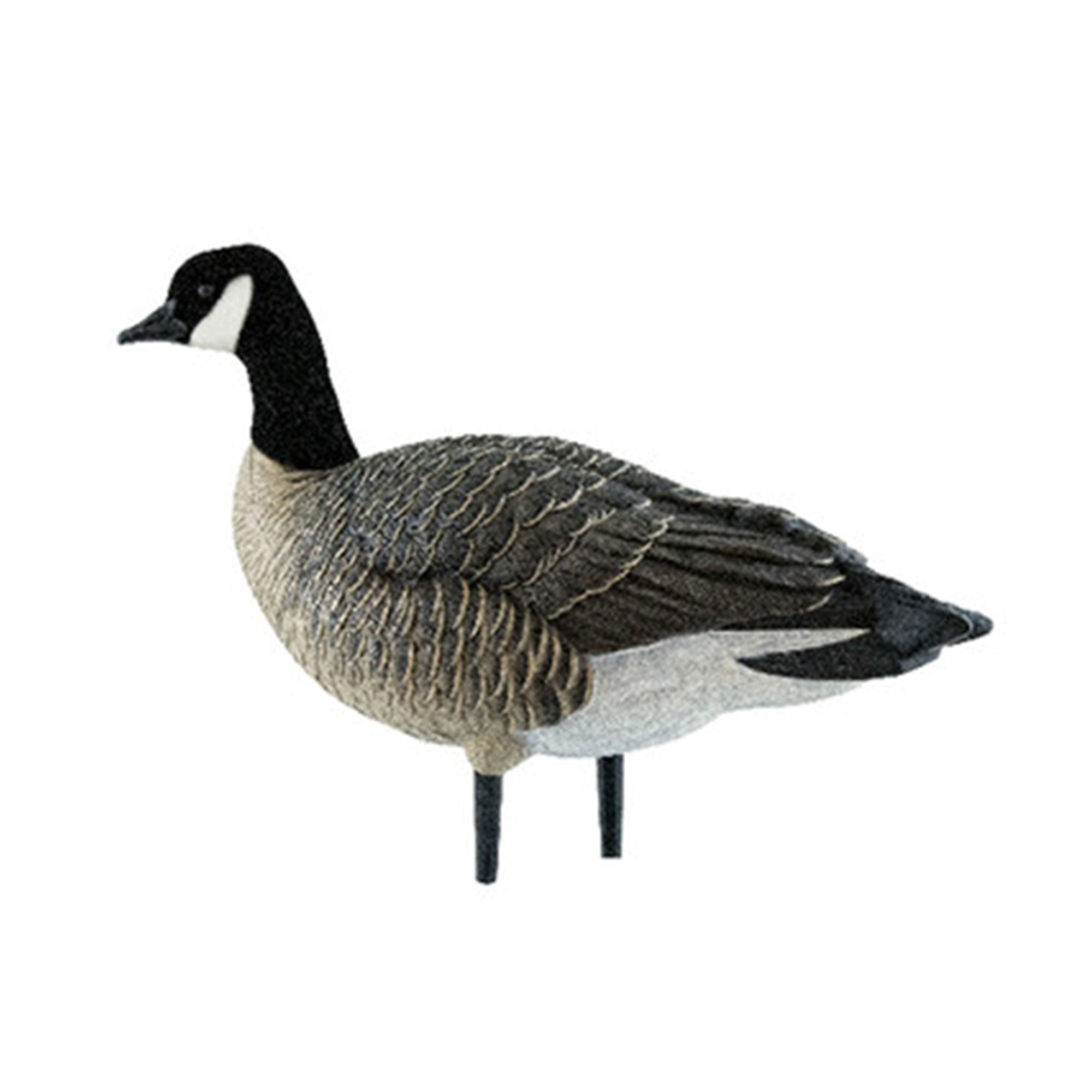 Avian X AXP Lessers Outfitter Pack, 12 Full Body Canada Goose Decoys with Bag