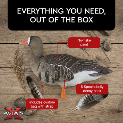 Avian X AXP Specklebelly Decoy Fusion Pack with Lasting Finish and Bag, 6 Pack