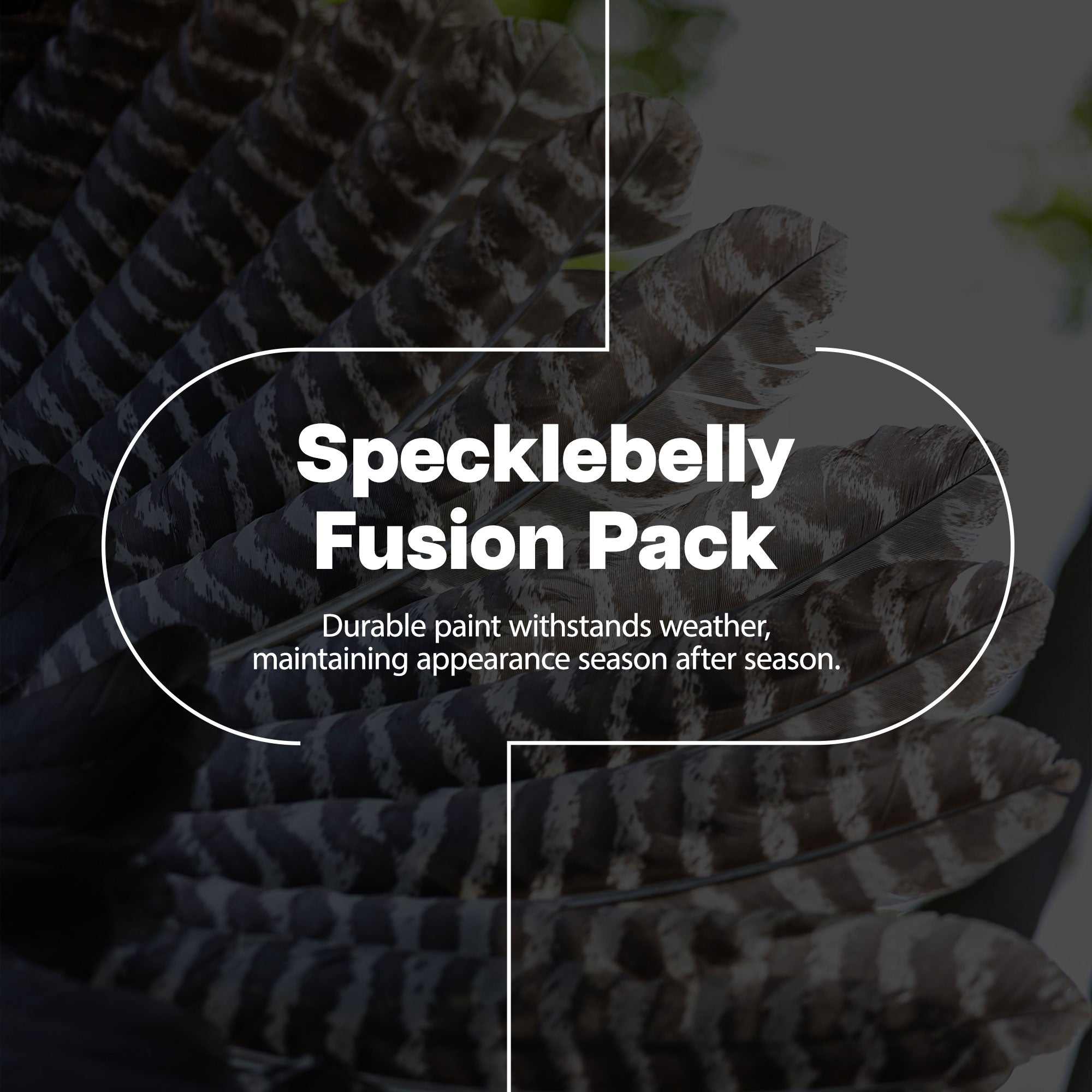 Avian X AXP Specklebelly Decoy Fusion Pack with Lasting Finish and Bag, 6 Pack - VMInnovations