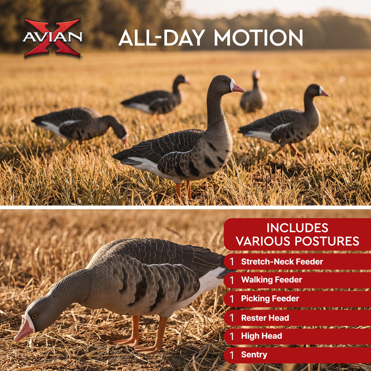Avian X AVF Specklebelly Fusion Pack with Custom Fitted Bag for Hunting Use