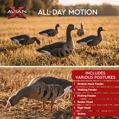 Avian X AVF Specklebelly Fusion Pack with Custom Fitted Bag for Hunting Use