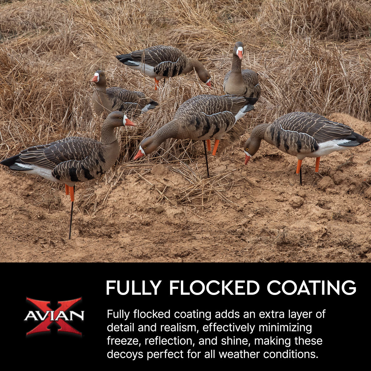 Avian X AVF Specklebelly Fusion Pack with Custom Fitted Bag for Hunting Use