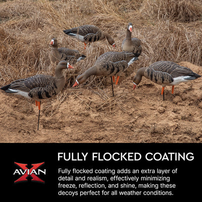 Avian X AVF Specklebelly Fusion Pack with Custom Fitted Bag for Hunting Use