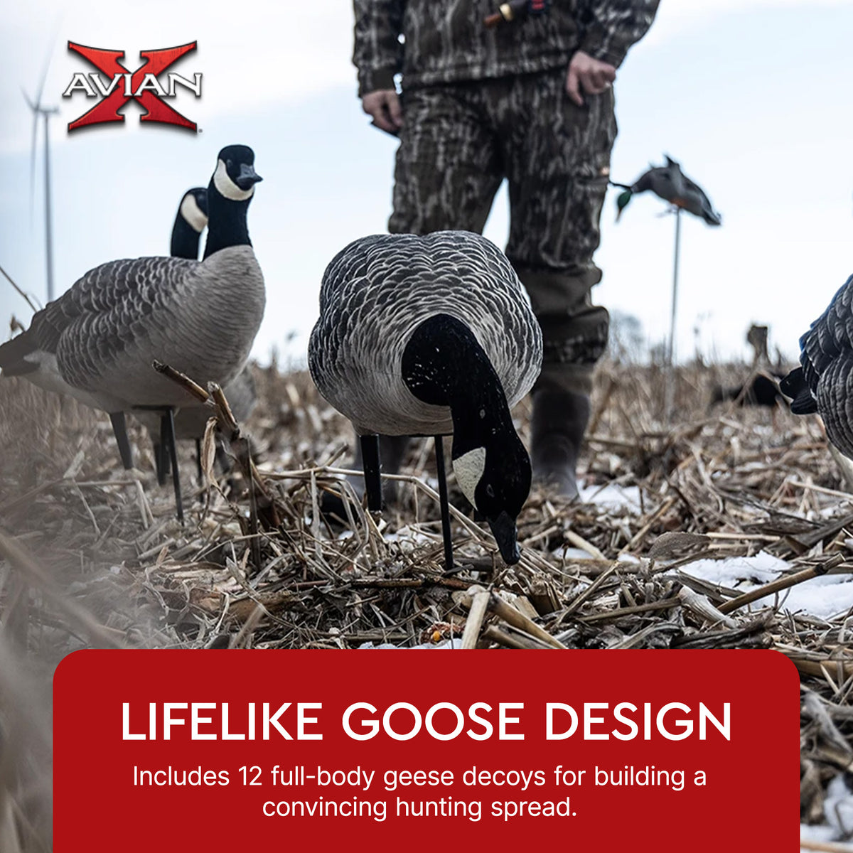 Avian X AXF Lessers Flocked Full Body Lifelike Goose Hunting Decoys, 12 Pack