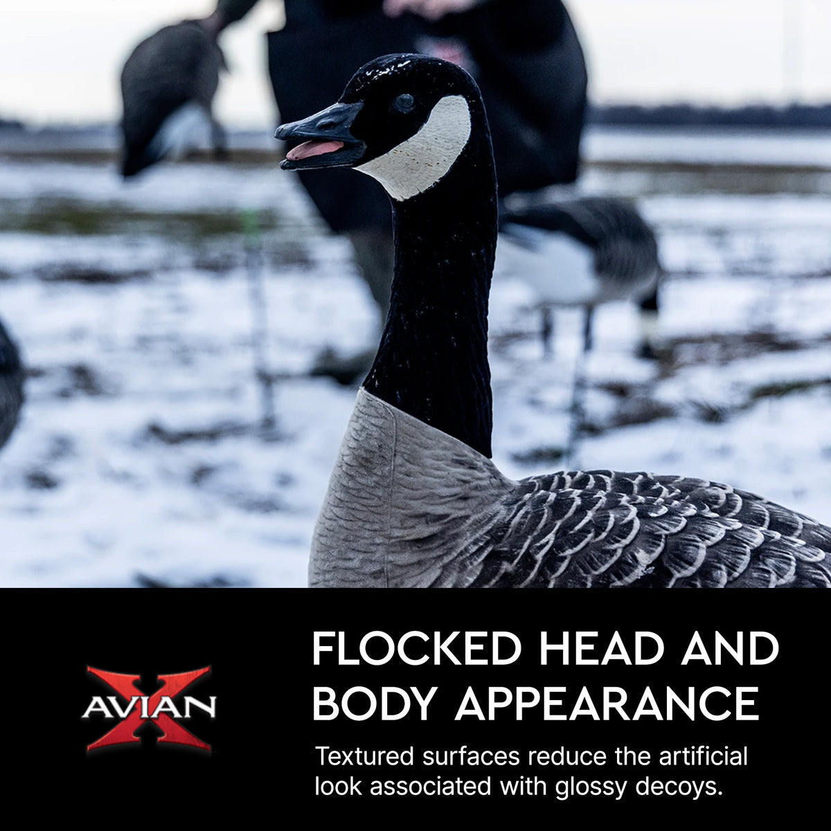 Avian X AXF Lessers Flocked Full Body Lifelike Goose Hunting Decoys, 12 Pack