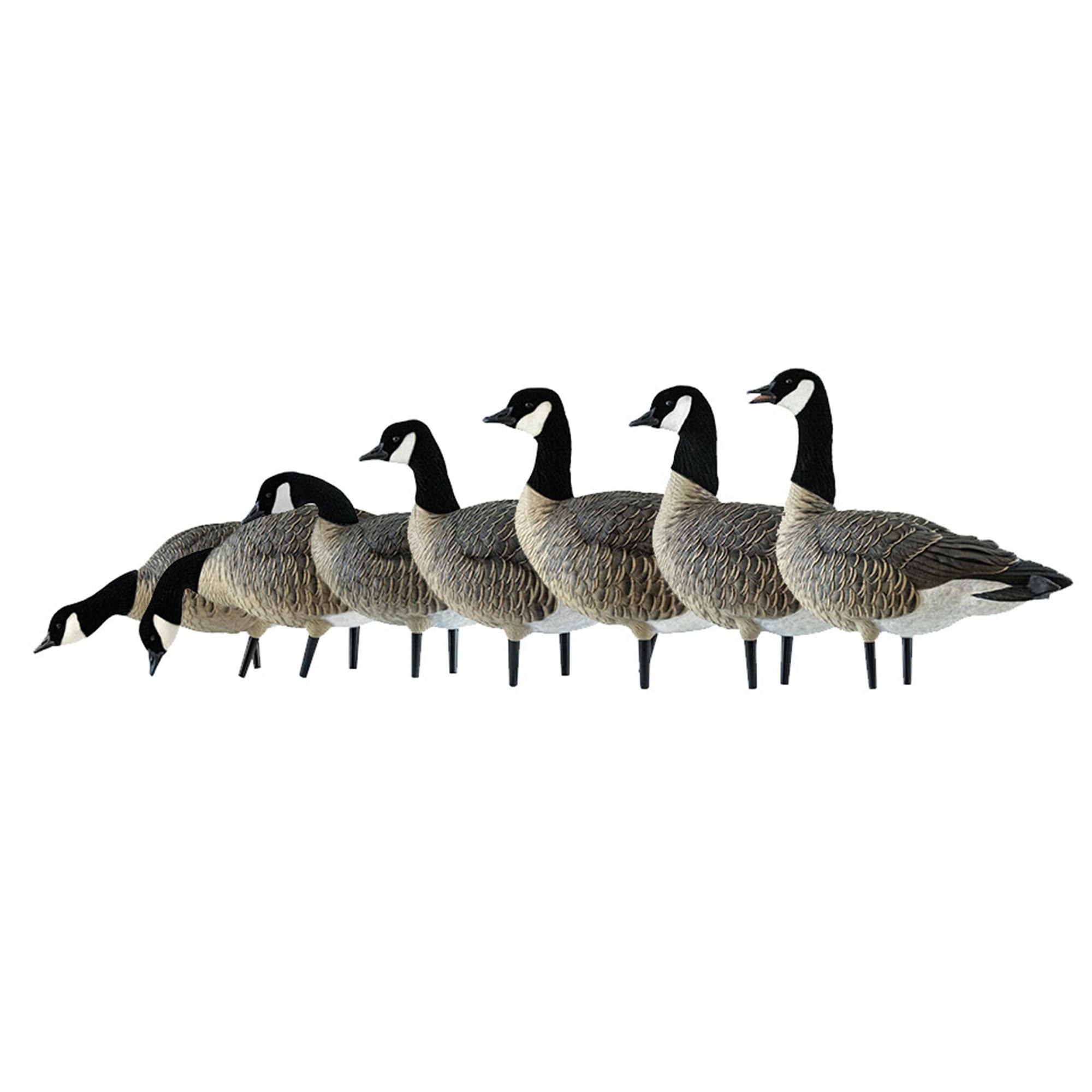 Avian X AXF Lessers Flocked Full Body Lifelike Goose Hunting Decoys, 12 Pack